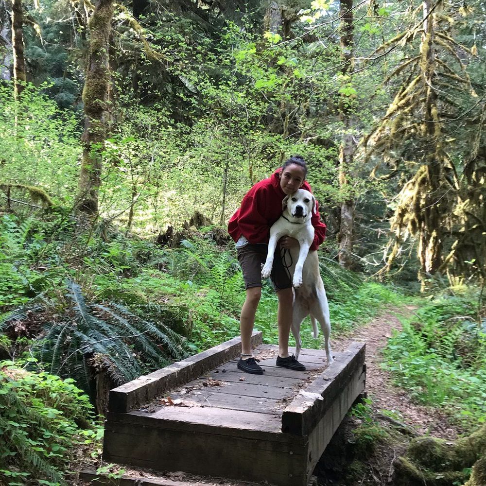 Meet your Posher, Korie